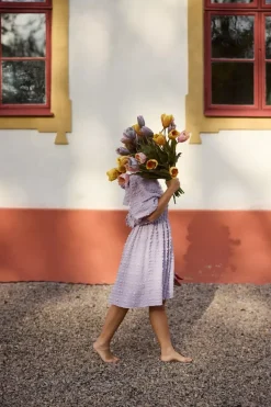 Tulipan Lilla