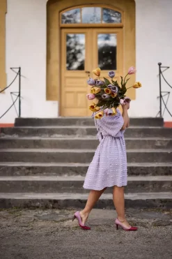 Tulipan Lilla