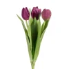 Tulipan Lilla H36