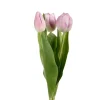 Tulipan Lys Lilla H36