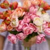 Tulipan Mørk Rosa