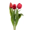 Tulipan Rød H36 (Assortert)