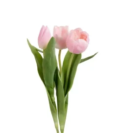Tulipan Rosa 36 cm