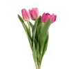Tulipan Rosa H36