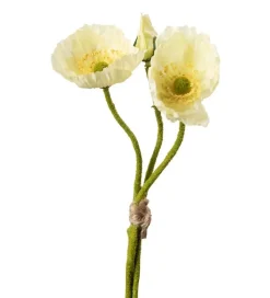 Valmuebunt Gul H22
