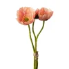 Valmuebunt Rosa H22