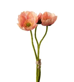 Valmuebunt Rosa H22