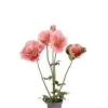 Valmue I Potte Rosa H50