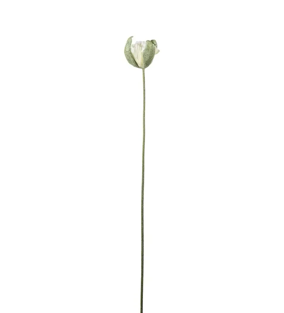 Valmueknopp Gul H78