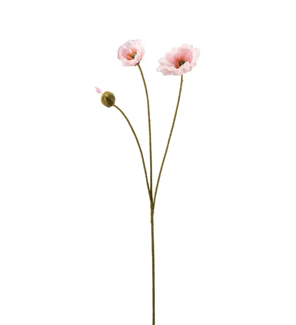 Valmue Lys Rosa H75