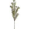 Voksblomst Hvit H60