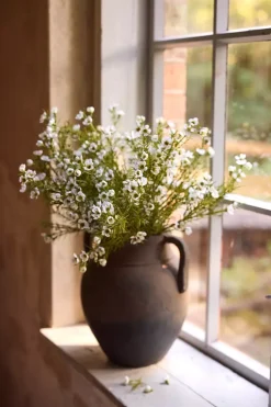 Voksblomst Hvit H60
