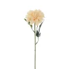 Zinnia Beige