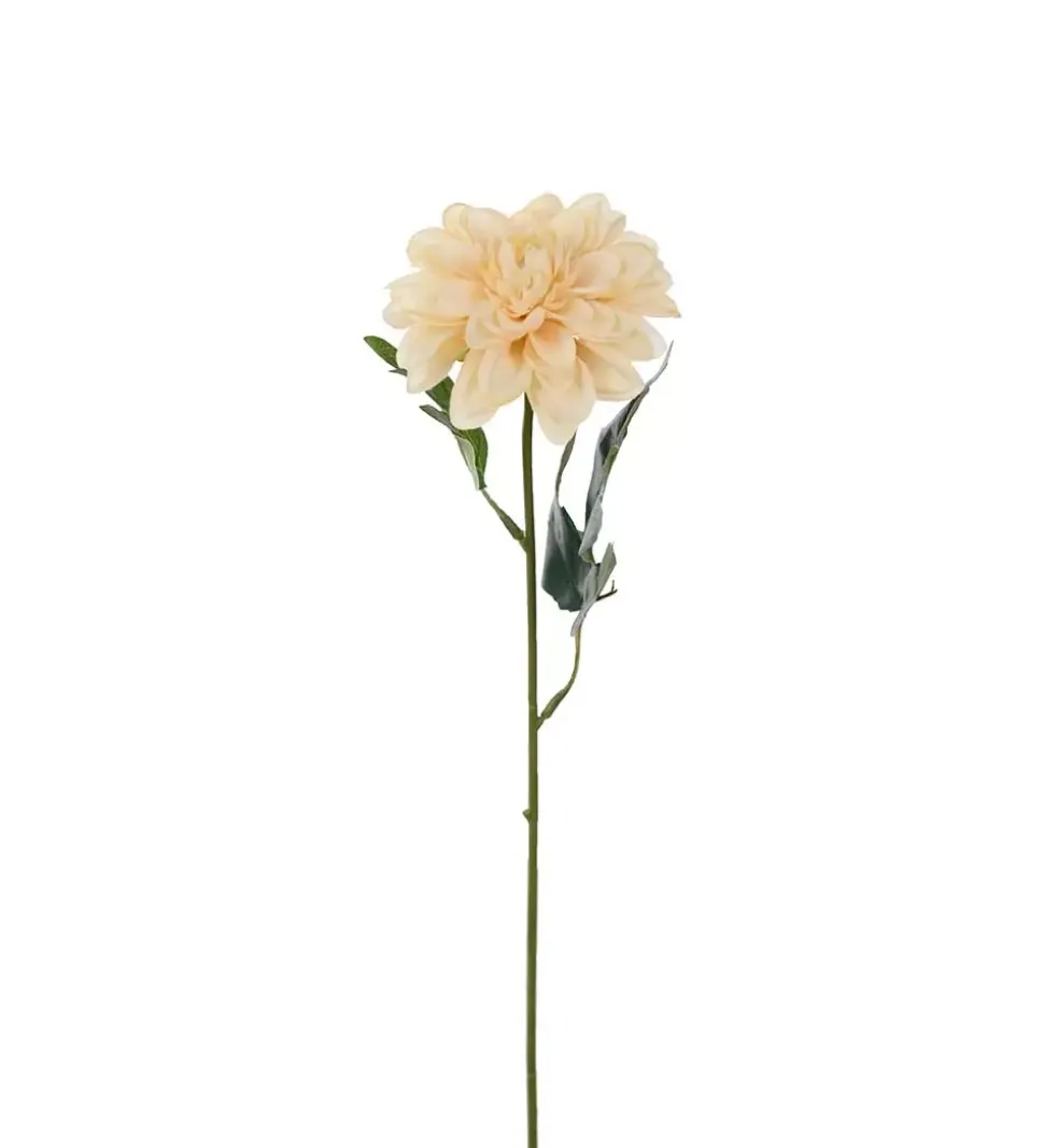 Zinnia Beige