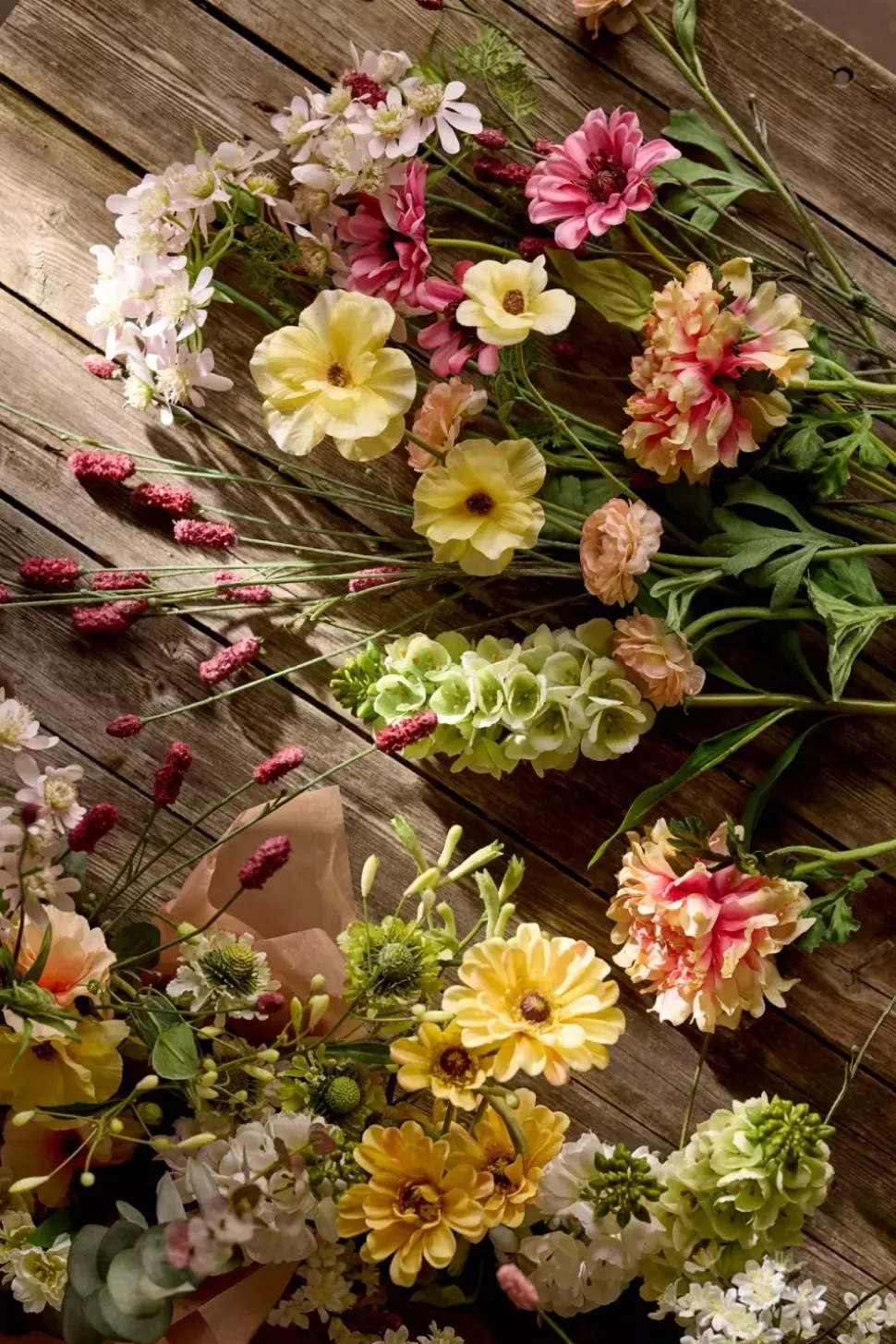 Zinnia Gul H65