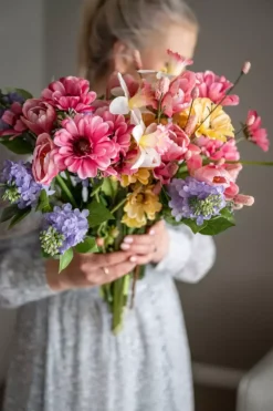 Zinnia Gul H65