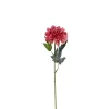 Zinnia Rosa H45cm